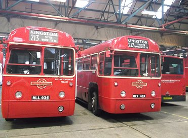 RF518, RF486, SOE31 in A