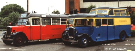 preserved Cubs