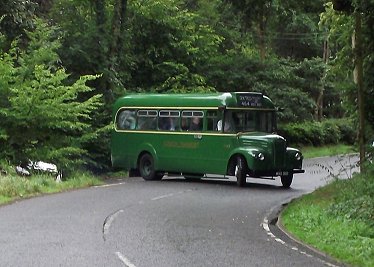 GS2, Staffhurst Wood