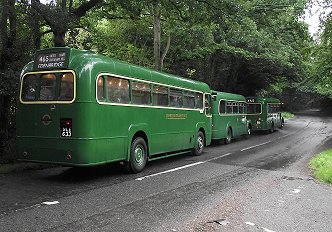 RF633, Staffhurst Wood