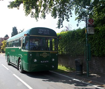 RF679, Halstead Cock