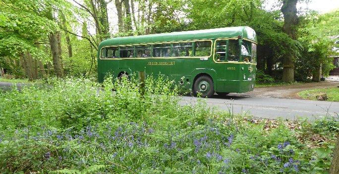 RF633 at Bayleys Hill