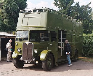 treelopper at Dorking