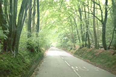 The road to Leith Hill