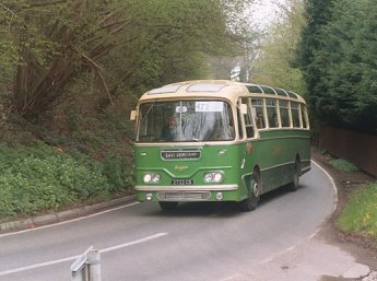 Leopard at Kingscote Stn