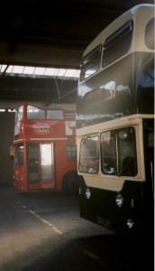 DH558 and 6666