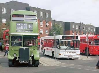 RT604 on 341, Golden Boy Dart