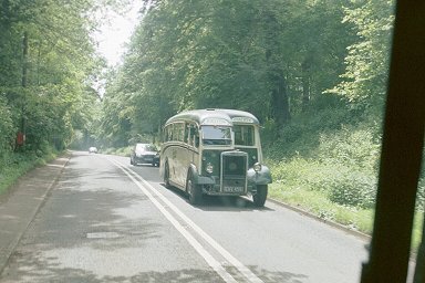 Falcon Coaches Tiger