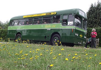 RF281 and dandelions