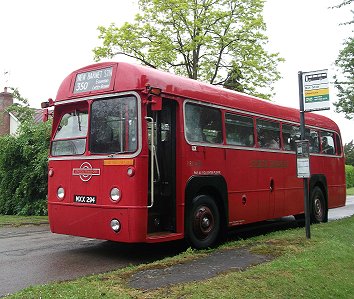 RF406 on 350, Letty Green