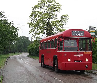 RF406 on 350, Letty Green