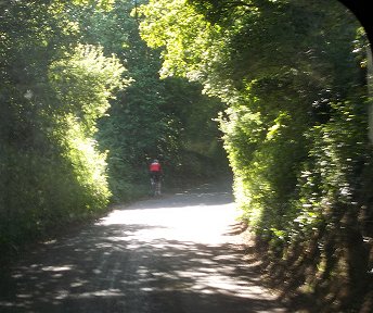 cyclist near Walkern