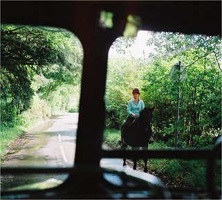 horse and rider, Walliswood