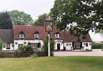 The Horns, Bulls Green