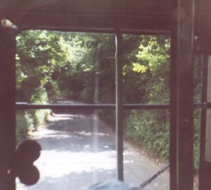 leafy lane: the view from RF4