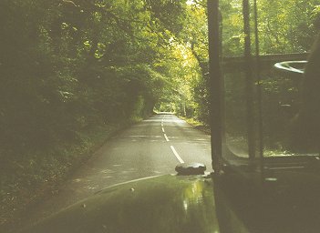 Rushmore Hill from inside RT3148