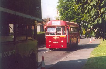 RF486 at Knockholt Pound