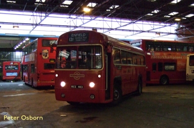 RF486 in E (Peter Osborn)