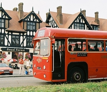 RF486 at Royal Forest Hotel