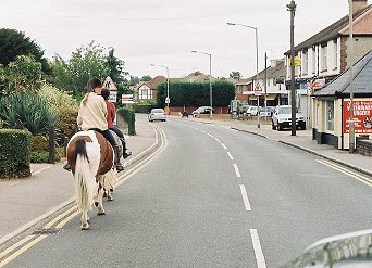 horses, North Weald