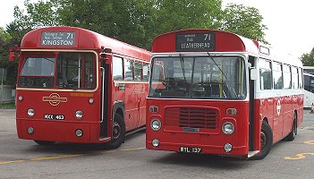RF486, BL49, Chessington Zoo