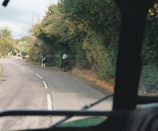 horses in Chesham Vale