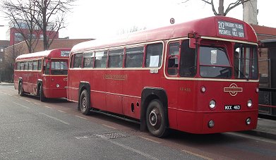 RF486, RF459 Morris Place