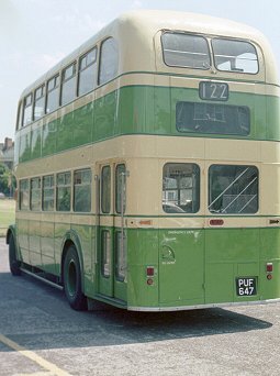 Southdown Guy PUF647