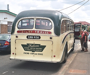 Tiger at Potters Bar.