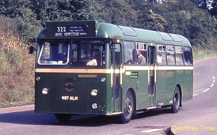 RW3 (photo by Geoffry Tribe)