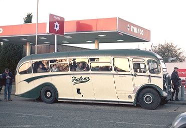 Tiger at South Mimms.