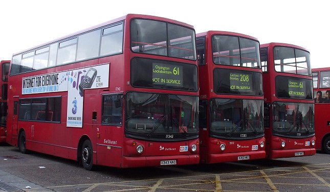 17343 and 17351 off 61, 17283 off 208, TB