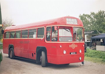 RF366 at Burnham Beeches