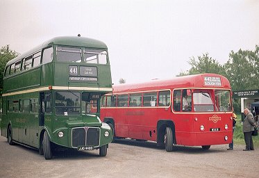 RML2440, RF366 at Burnham Beeches