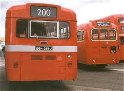 preserved SMS369 - rear