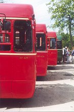 RF429, RF406, RF444, RF271